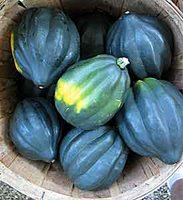 Recipe: Winter Squash