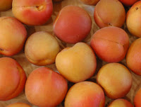 Things I Love Today: Apricots