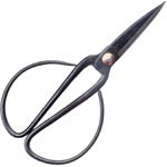 Things I Love Today: Chinese Scissors