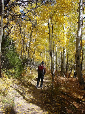 Honeymoon: Rocky Mountain National Park