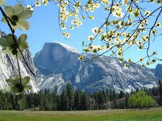 Road Trip: Yosemite