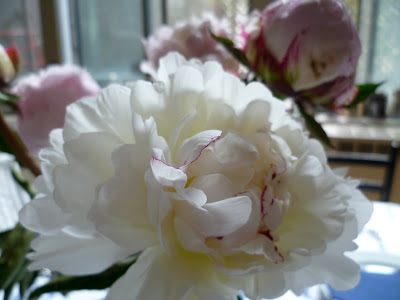 Things I Love Today: Peonies