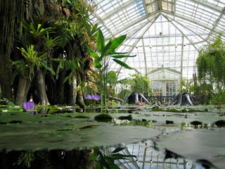 To Do: Conservatory of Flowers