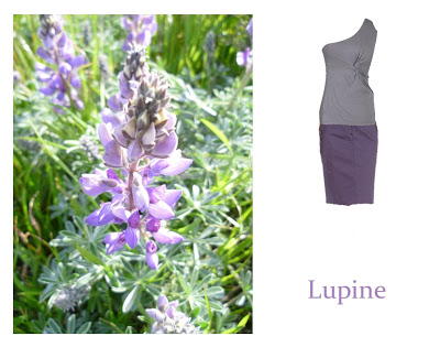 Flower Week: Lupine