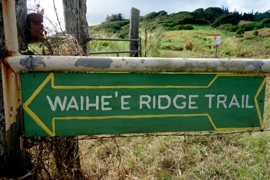 Hawaii: Hiking the Waihe’e Ridge Trail in Maui