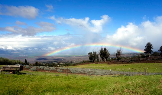 Hawaii: Exploring the Maui Upcountry