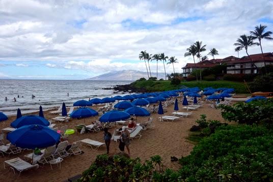 Hawaii: Beach & Badminton