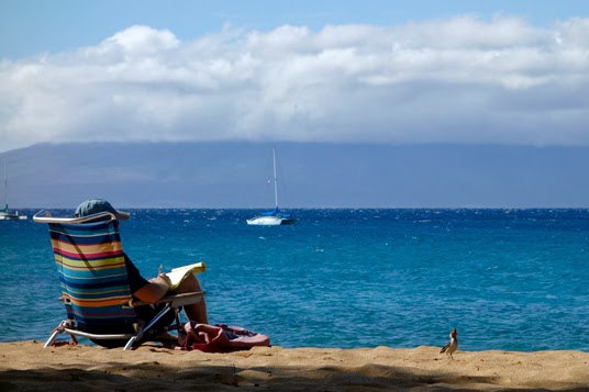 Hawaii: Exploring the North Shore of Maui