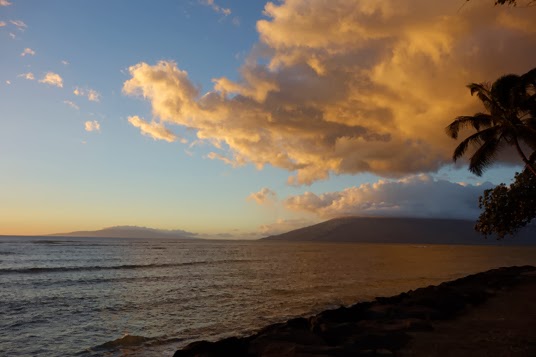 Hawaii: My Favorite Finds in Maui