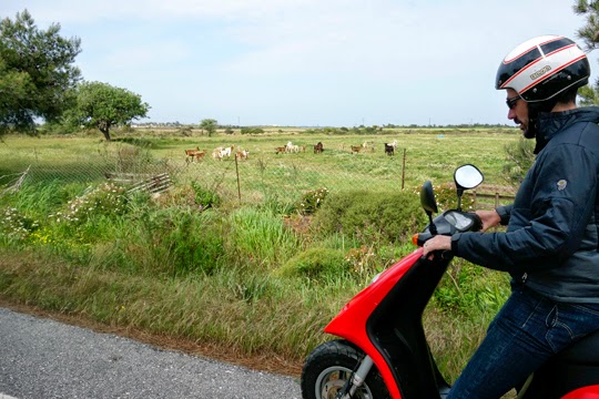 Seeing the Greek Island of Kos on a Tiny Red Scooter, Part I