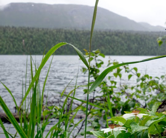 Hiking Byers Lake at Denali State Park, Alaska