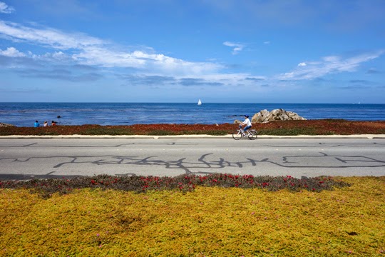 Welcome to Pacific Grove!