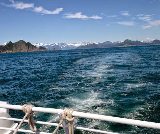 Whales, Puffins and Glaciers on a Boat Tour of Kenai Fjords, Alaska