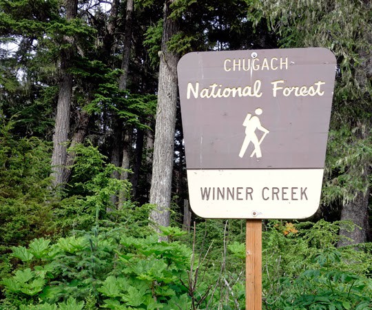 Hike to the Hand Tram at Winner Creek in Girdwood, Alaska