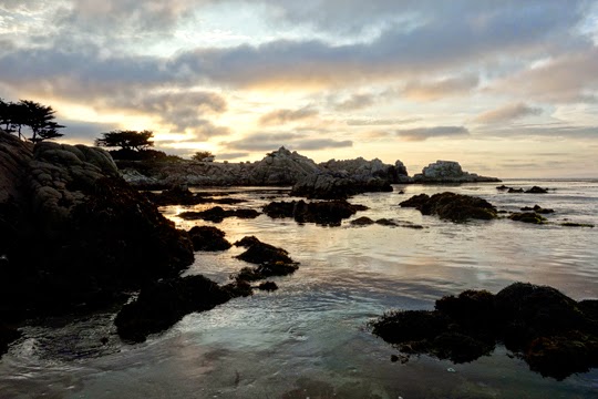 What to Wear, See and Do in Pacific Grove for a Long Weekend with Family