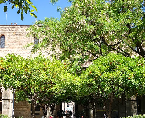 Shopping and Eating in Ciutat Vella, Barcelona’s Old City