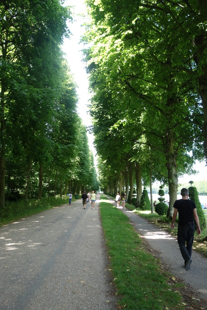 Lakeside path at the gardens of Versailles