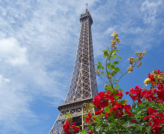 Paris Picnic No. 6: The Eiffel Tower and Musee Rodin