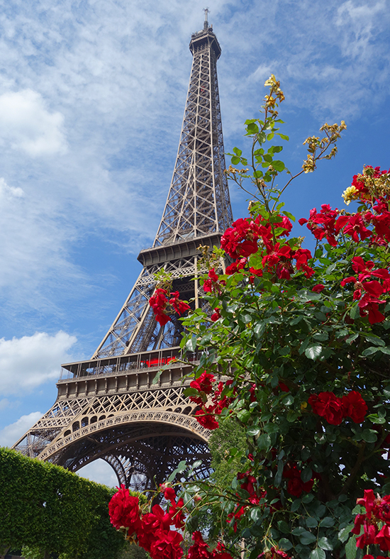 Paris Picnic No. 6: The Eiffel Tower and Musee Rodin