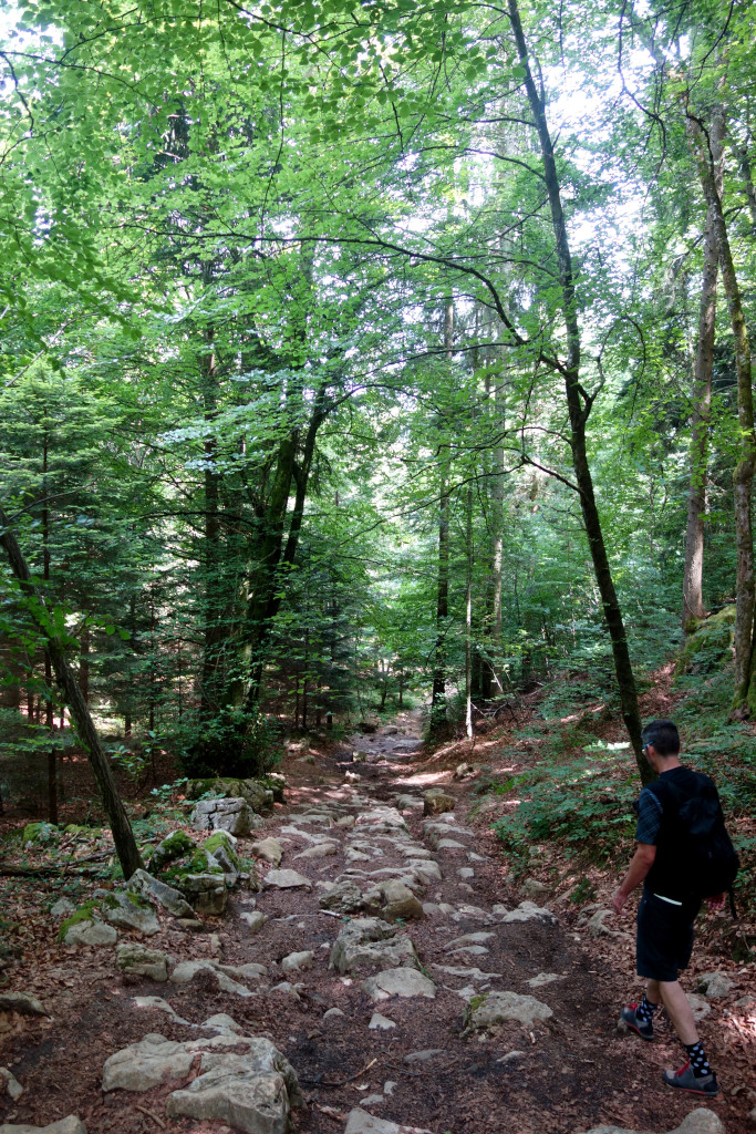 A possible roman road in Annecy?