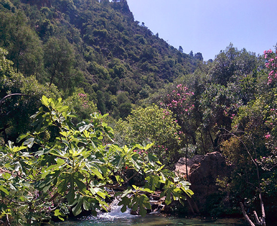 Hiking to the Akchour Waterfalls in the Rif Valley of Morocco