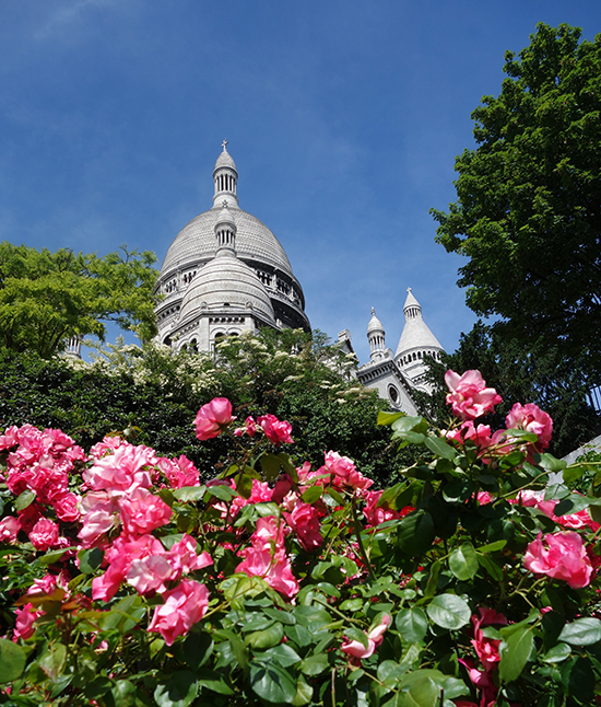 A rosie view of the Sacre Coeur cathedral in Paris