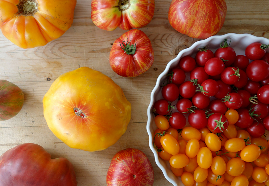 SF Farmer's Market Tomatoes