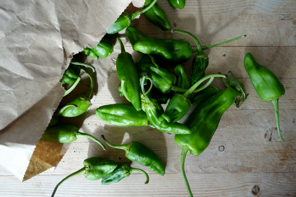 A Spanish Dinner Party Prepared in One Rápido Hour