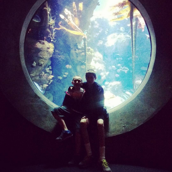 More Ideas for Exploring San Francisco with Nephews