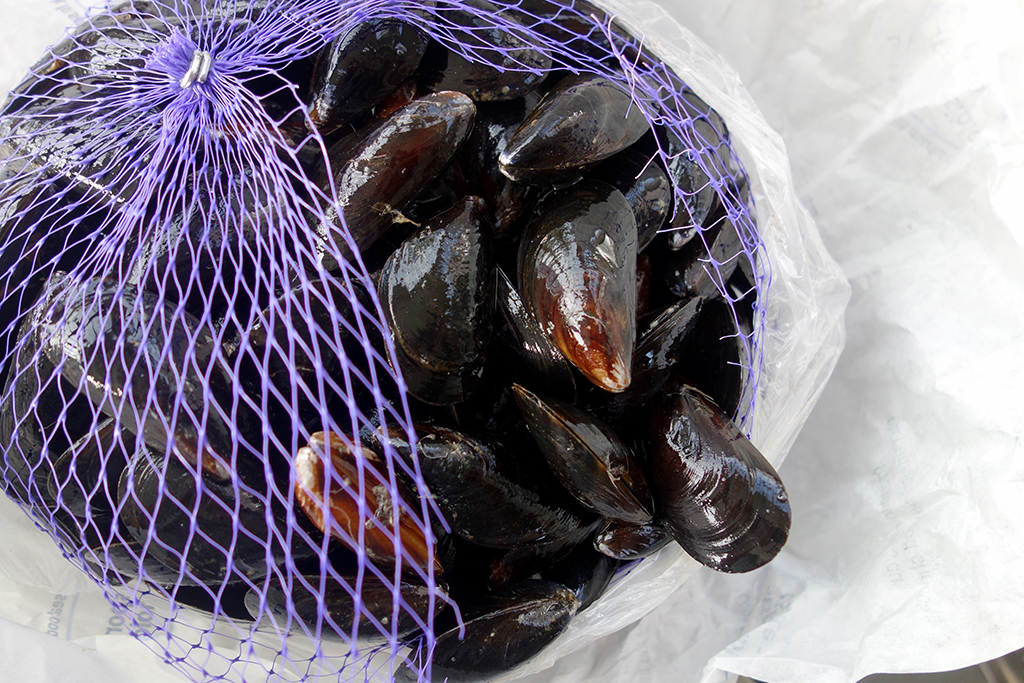 A 5lb bag of fresh PEI mussels
