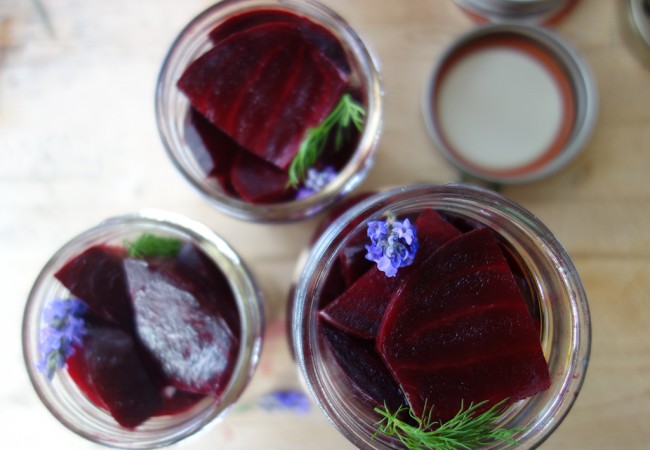 Lavender Dill Pickled Beets
