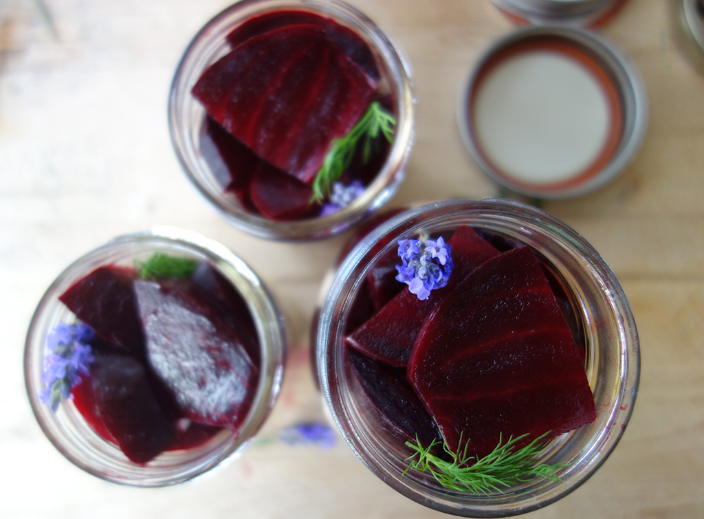 Lavender Dill Pickled Beets