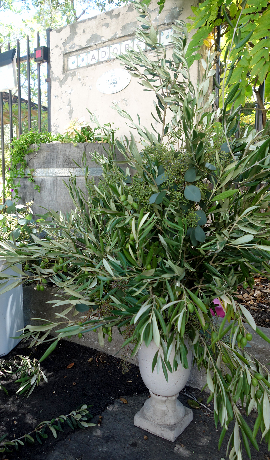 Olive Branches, DIY Wedding Flowers