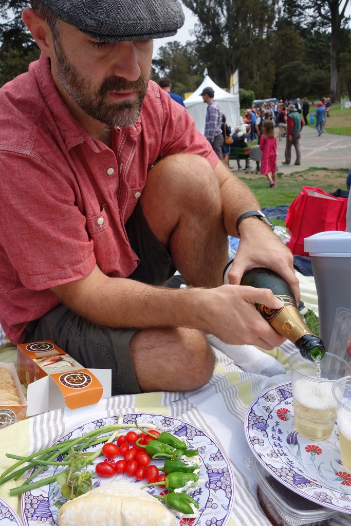 San Francisco Picnic with Opera in the Park EmilyStyle