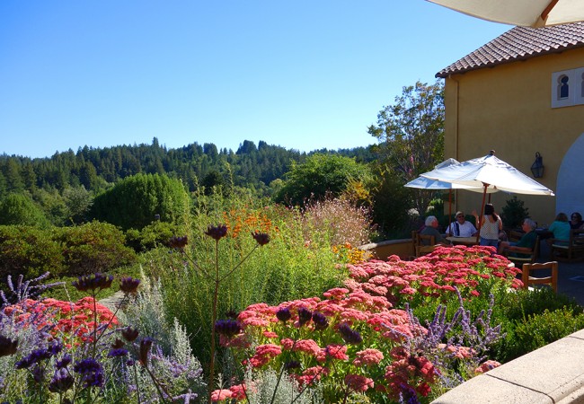 A Spanish-Style Picnic in Sonoma Wine Country