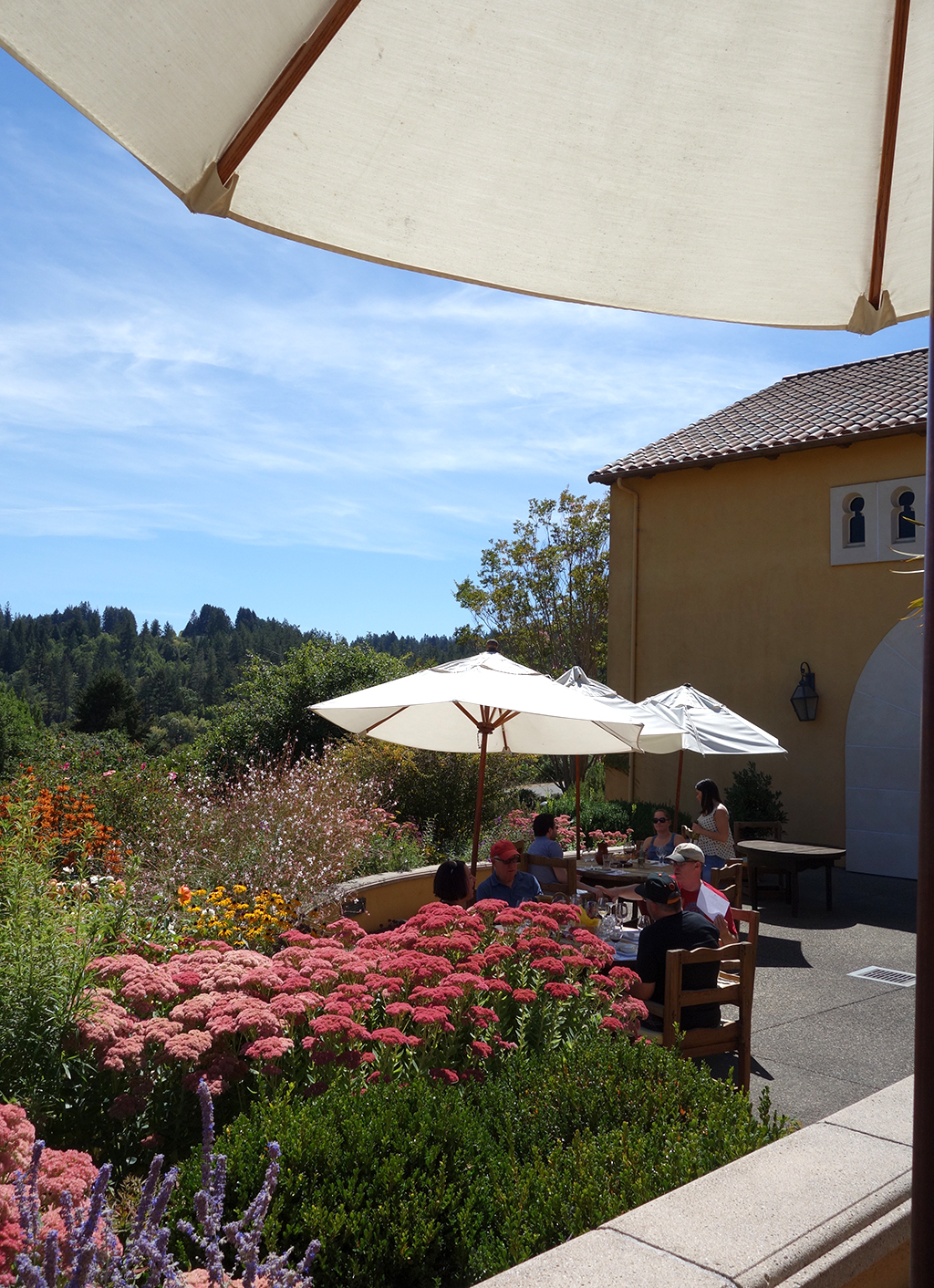 A SpanishStyle Picnic in Sonoma Wine Country EmilyStyle