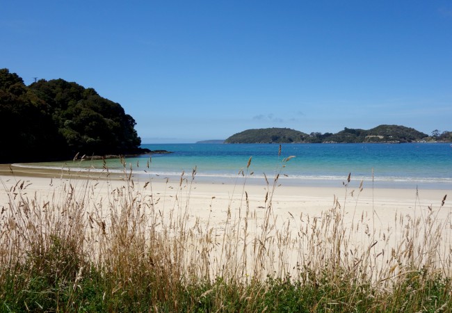 Two Days on Stewart Island, New Zealand