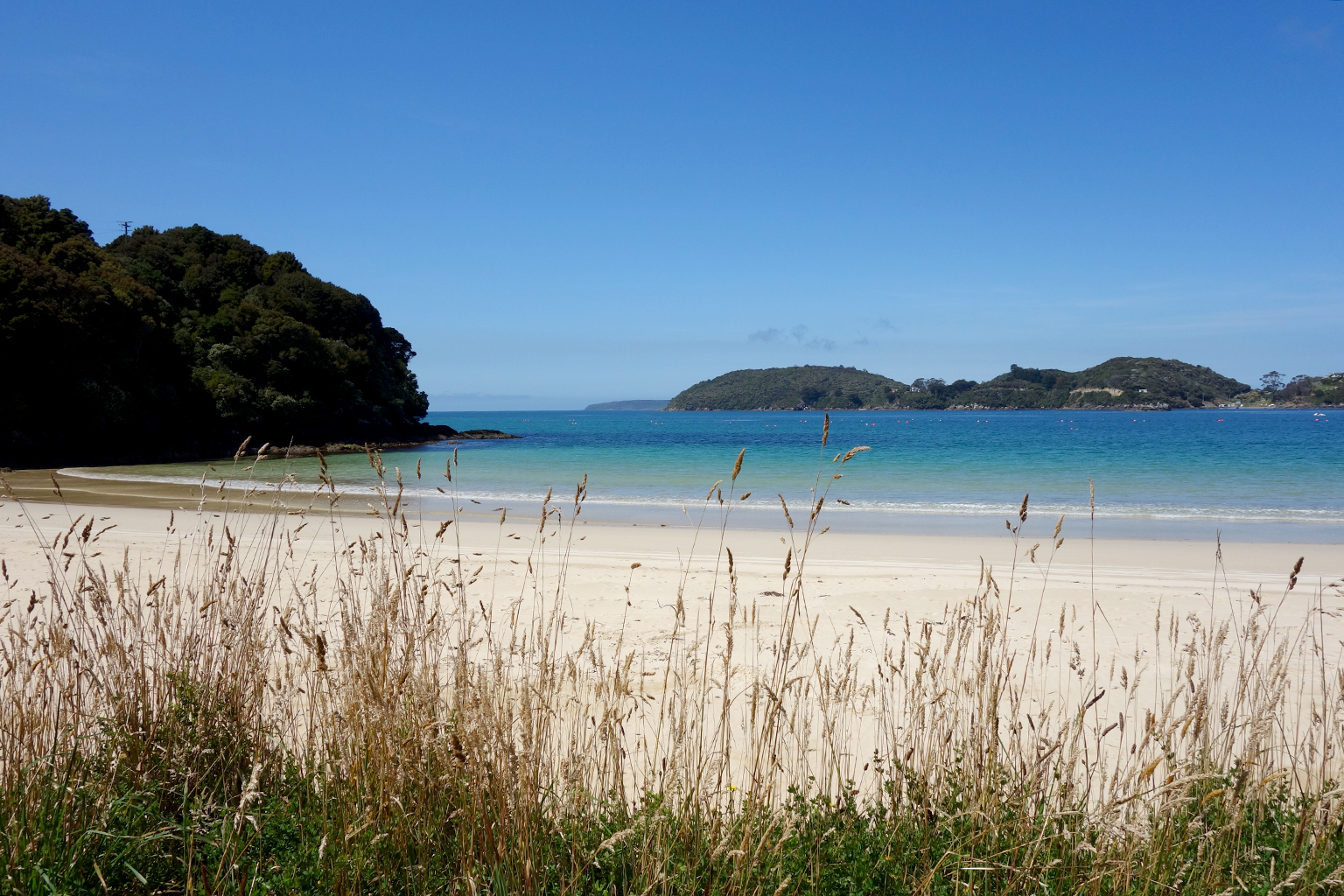 Two Days on Stewart Island, New Zealand