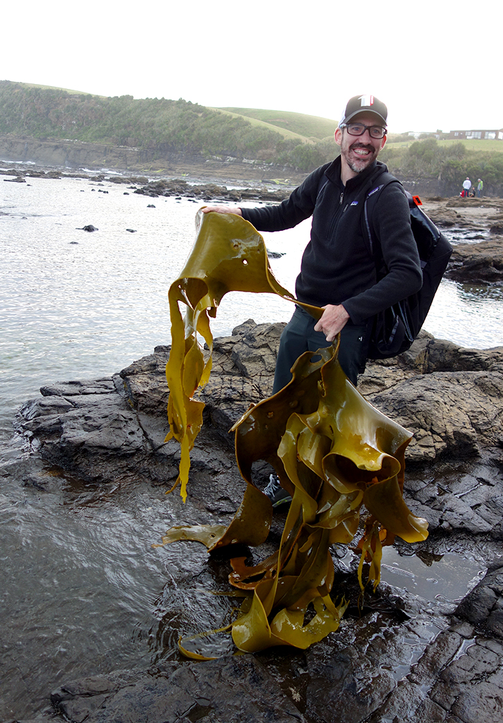 New Zealand Seaweed is Enourmous