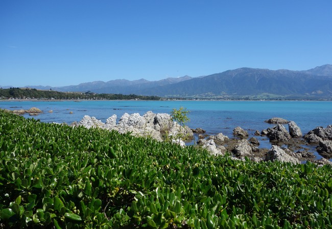 Crayfish Hike in Kaikoura, New Zealand