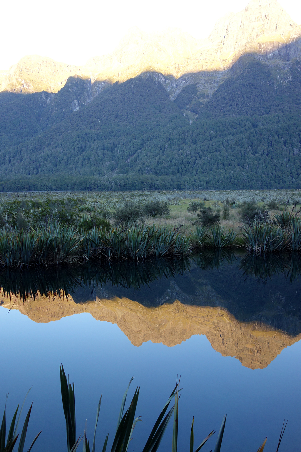 Reflection at Mirror Lake New Zealand