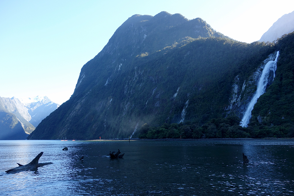 Milford Sound waterfall hikes