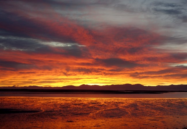 A Sleepy Week in Beach-Front Motueka, New Zealand