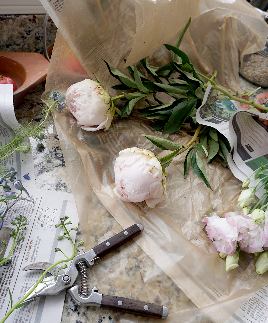 Peonies for flower arranging