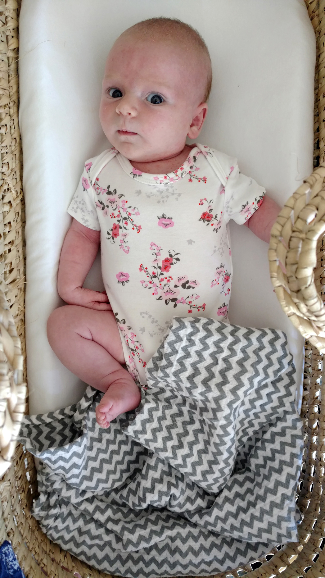 Dear Lucille – Month One – EmilyStyle